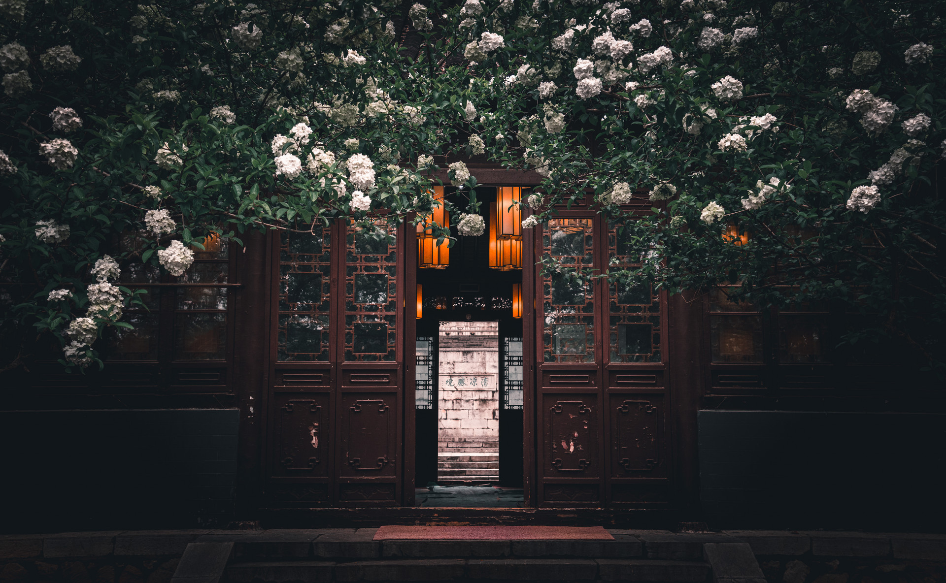 摄图网_501593806_banner_春天南京清凉山崇正书院的植物绣球花与古代建筑（企业商用）.jpg